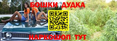 шишки Брянск