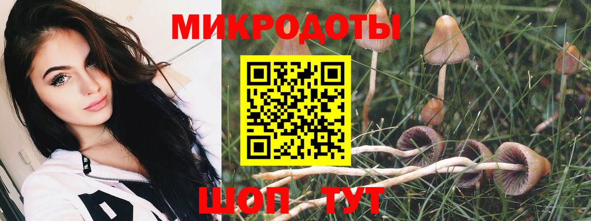 Галлюциногенные грибы ЛСД Белореченск