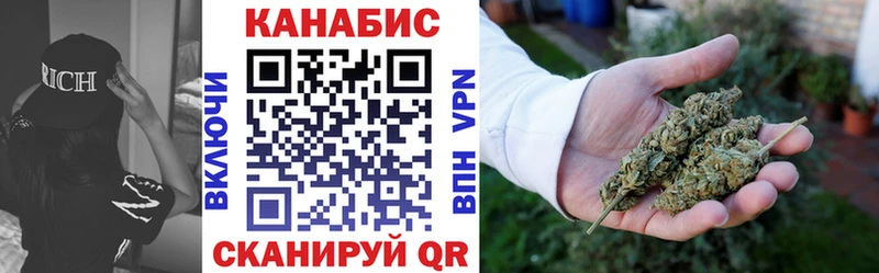 где найти   Белореченск  Конопля индика 