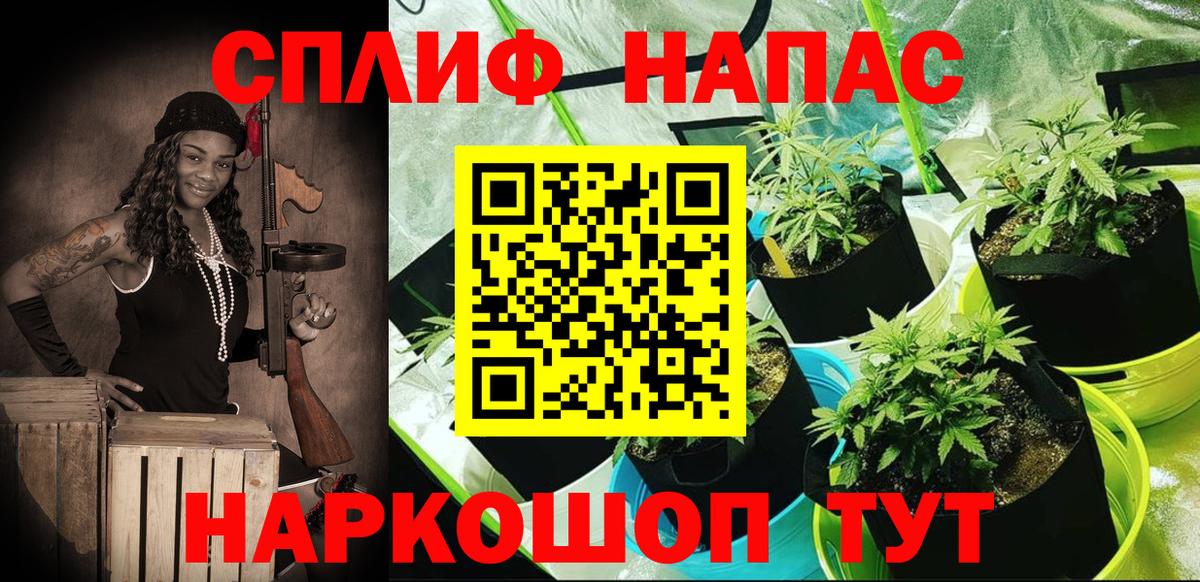 Бошки марихуана MAZAR Белореченск